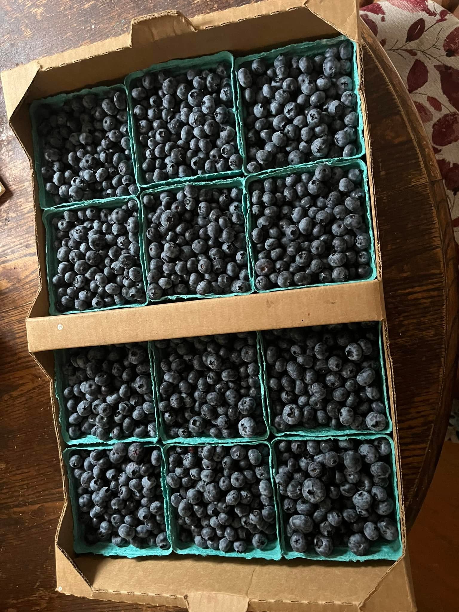 Fresh blueberries close up