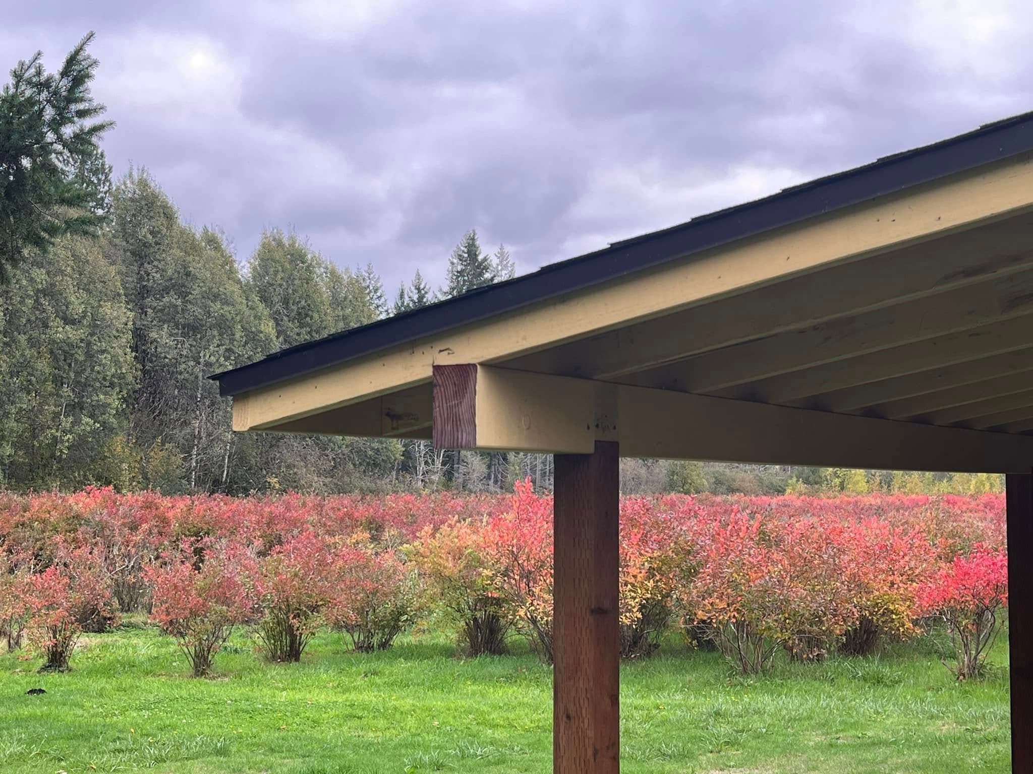 Covered gathering space in the grove
