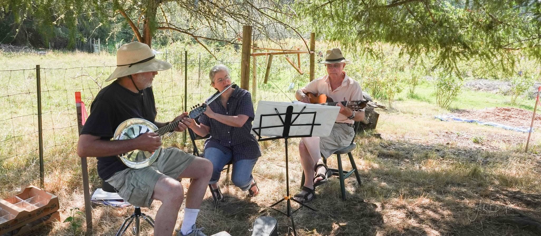 Music gathering at the farm