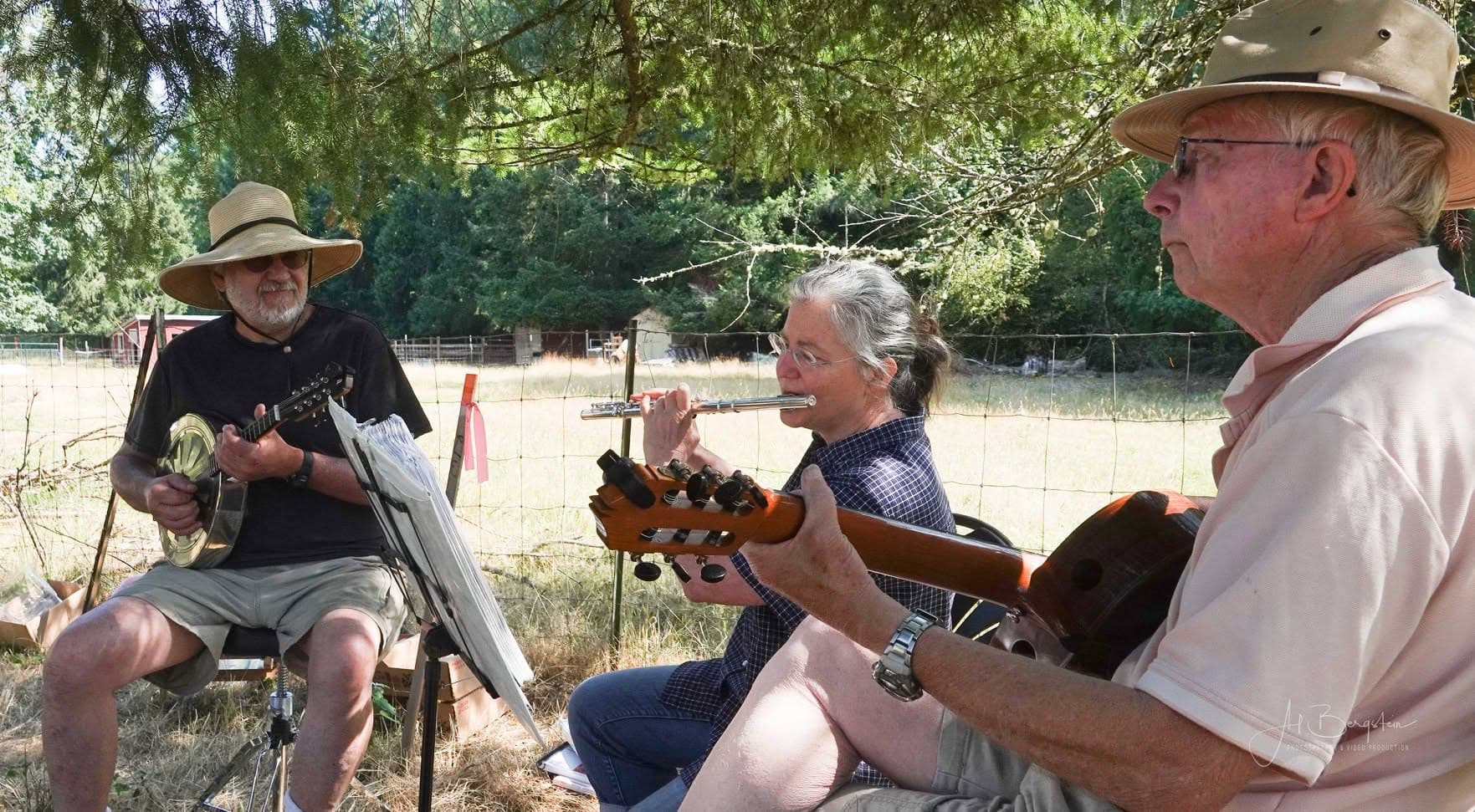 Wide view of music in the grove